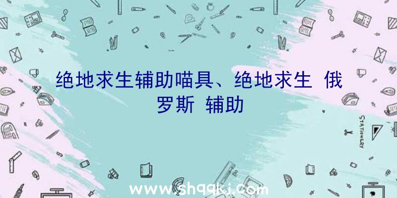 绝地求生辅助喵具、绝地求生